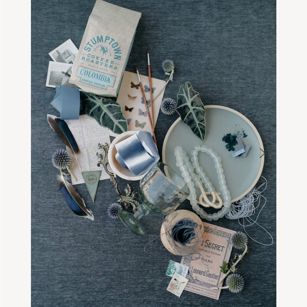 Chasing Stone Echeveria Textured Velvet Flat Lay Backdrop